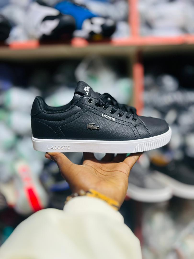 Lacoste men's lace up sneakers