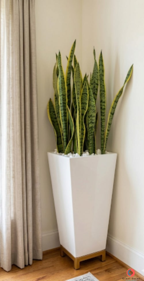 Tall Trapezoidal vase